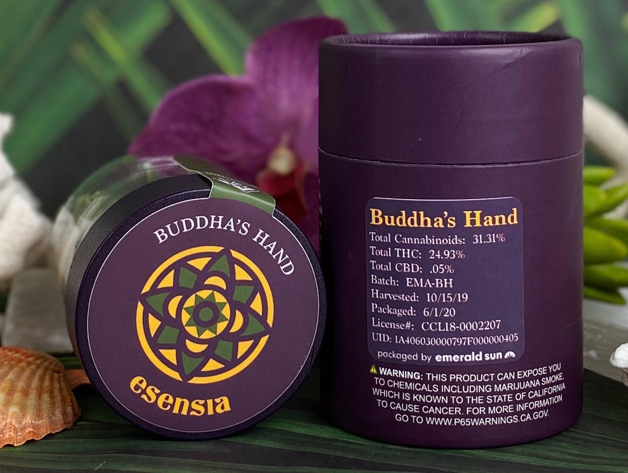 Buddah’a Hand by Esenia